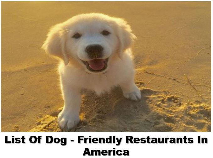 America List Of Dog - Friendly Restaurants In America List Of Dog - Friendly Restaurants In America List Of Dog - Friendly Restaurants In America:- The Patio on Lamont - The Patio on Lamont serves inspired California cuisine and caters to foodies and the canines they love. Upon arrival, Fido will receive a gourmet house-made dog biscuit and a fresh bowl of water. The open-air patio attracts lots of pooches, so reservations are recommended. Direction  O.H.S.O. Eatery + NanoBrewery - Outrageous Homebrewer’s Social Outpost (OHSO) serves 30 handcrafted brews and a diverse menu featuring burgers, tacos, spicy pork sandwiches, and surf and turf. The back patio with views of the canal welcomes dogs. Direction The Dog Bar - The Dog Bar in Charlotte, NC is THE place to bring Fido in the Queen City. Located in the NoDa Arts District, the bar serves beer, wine, and liquor, and allows dogs of all shapes and sizes both indoors and out. All dogs are welcome, as long as they are well-behaved and are up to date on vaccinations. There is a membership fee of $10 per dog, which can be picked up on the first visit. Just be sure to bring Fido's vaccination records. Direction The Forge - The Forge, formerly known as Forge in the Forest, is a bistro-style eatery where Fido is welcome to join you on their dog-friendly patio named, The Pound Patio, where pooches may order specialty items from their own Canine Cuisine menu. The restaurant features gourmet dishes for lunch and dinner such as San Francisco style fondue, chicken satay lollipops, curry chicken paninis, Margherita pizza, fettuccine Alfredo, skirt steak, and more. The Canine Cuisine menu offers items such as a cup of kibble, the Hot Diggity Dog, a Quarter Hounder, and Hen House Chicken Strips. Direction d.b.a. east village - They don't serve food at d.b.a. east village, but the constantly changing list of imported, craft and specialty beers and scotches will feed your soul. The back gravel garden area that is covered and heated is an East Village oasis, perfect for a late afternoon pint with your pooch, who is always welcome! Direction Sail Pavilion on the Riverwalk - Sail Pavilion is an open-air, dog-friendly waterfront retreat along the Tampa Riverwalk with 360-degree views, a full bar, and a menu of salads, sandwiches, and light appetizers. Guests can arrive by car or boat through Seddon Channel and use public docking in front of the restaurant. Equipped with stainless-steel dog water dishes, clean up station, free doggy treats, and a dog menu with yummy smoothies. Direction FUEL Charleston - FUEL Cantina is a dog-friendly restaurant in downtown Charleston, where Fido is welcome to join you at an outdoor table. Featured on Food Network's Diners, Drive-Ins, and Dives, Fuel has a tropical setting housed in an old gas station with an indoor/outdoor bar and one of Charleston’s largest patios. The ambiance strikes a balance between relaxation and nostalgia. FUEL Charleston serves the Caribbean influenced cuisine using simple ingredients accompanied by affordable beers, signature cocktails, and unique wines. Direction Norm's Eatery & Ale House - Dogs are welcome at Norm's Eatery & Ale House. To the uninitiated, the name may bring to mind a portly TV barfly, but this Fremont spot is actually named after a dog, which is obvious enough upon entry -- Norm and his canine pals adorn much of the wall space. Featuring a nightly food special dubbed the "Doggie Bowl," the theme is decidedly dog-centric and very laid back. The menu features country fried steak and eggs, smoked salmon Benedict, pepper burgers, chicken marsala, Creole blackened shrimp and grits, and meatloaf. Norm's opens at 11am Monday to Friday and at 9am on weekends. Direction