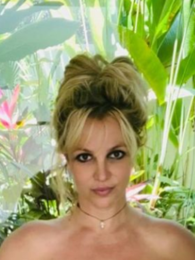 Britney Spears Pregnant Nude Instagram Post 
