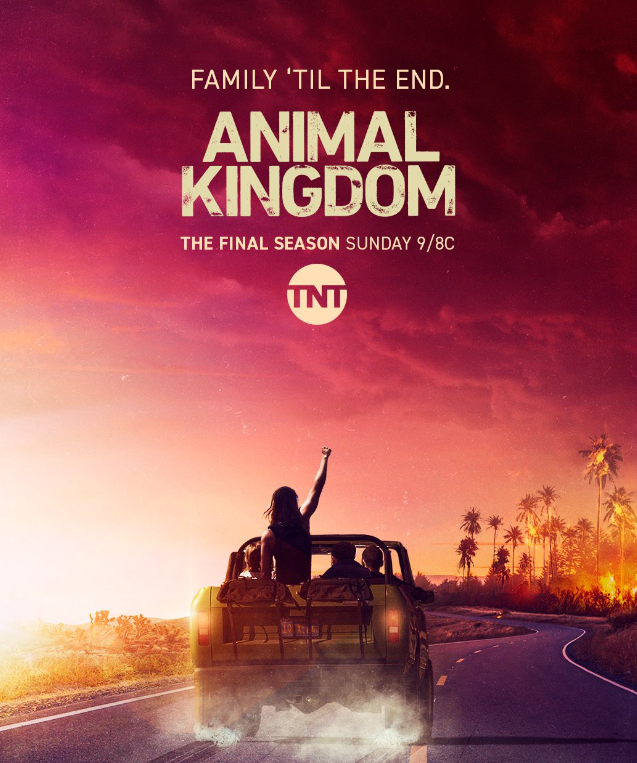 Animal Kingdom Season 6 (Release Date) (Time) (Cast) (Episodes 01-13)  (Hulu) (ET On TNT) (9:00 ) (Encore Presentations)