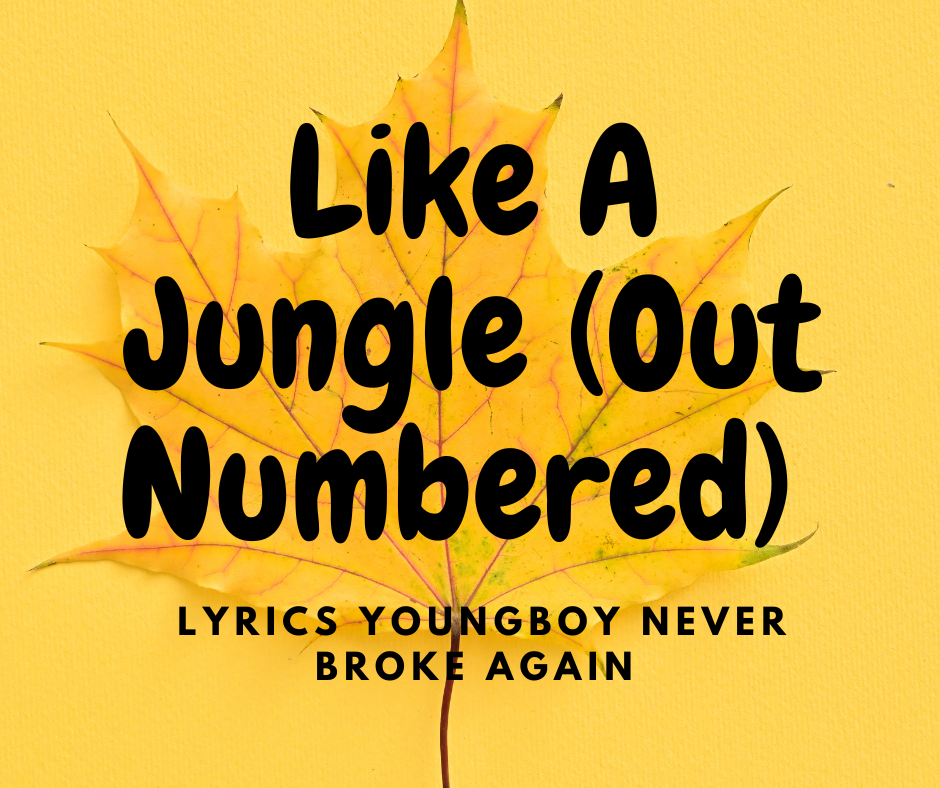 Like A Jungle (Out Numbered) Lyrics YoungBoy Never Broke Again