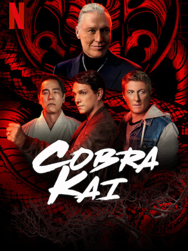 'Cobra Kai' Critical 5th Season