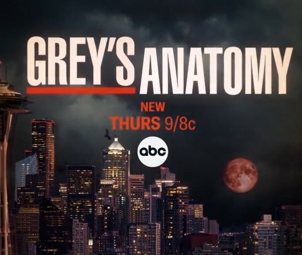Grey's Anatomy Season 19 Episode 4 Release Date