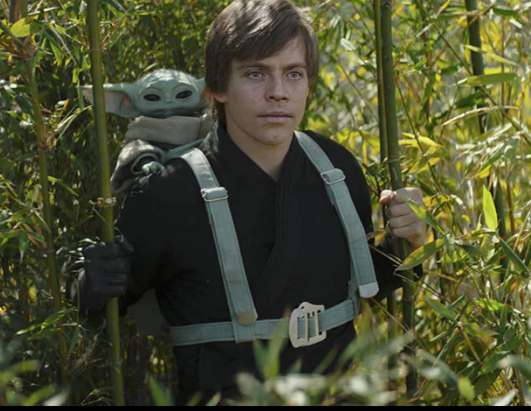 Who is Luke Skywalker in Star Wars